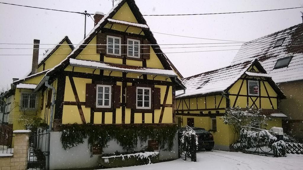 Chez Salome Et Fritz Villa Ingolsheim Eksteriør billede