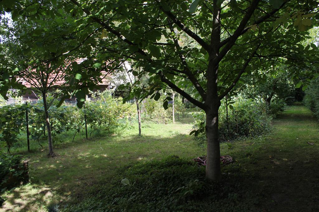 Chez Salome Et Fritz Villa Ingolsheim Eksteriør billede